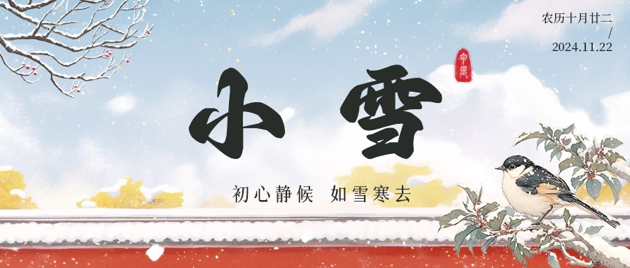小雪 | 迎冬飞雪至 风舞好时光