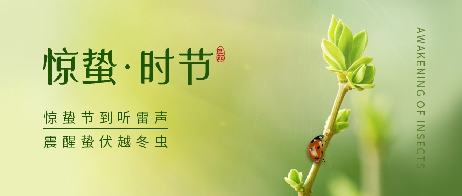 惊蛰 | 春雷惊响万物生长 美好蛰伏蓄势待发